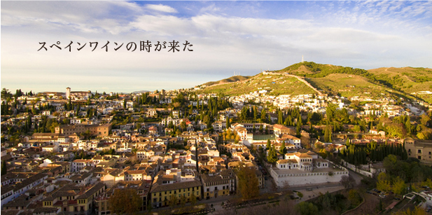 スペインワイン